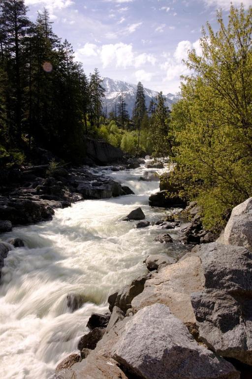 Pine River Ranch B&B Lake Wenatchee Экстерьер фото
